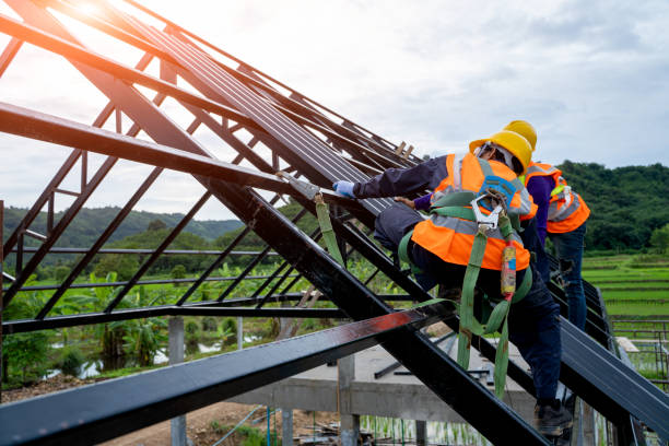 Best Roof Gutter Cleaning  in Sunnyslope, WA